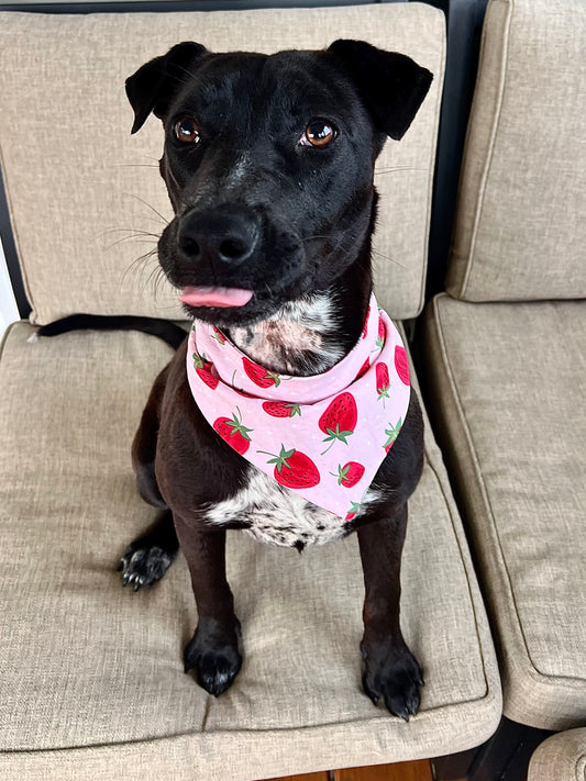 Strawberry Smooch