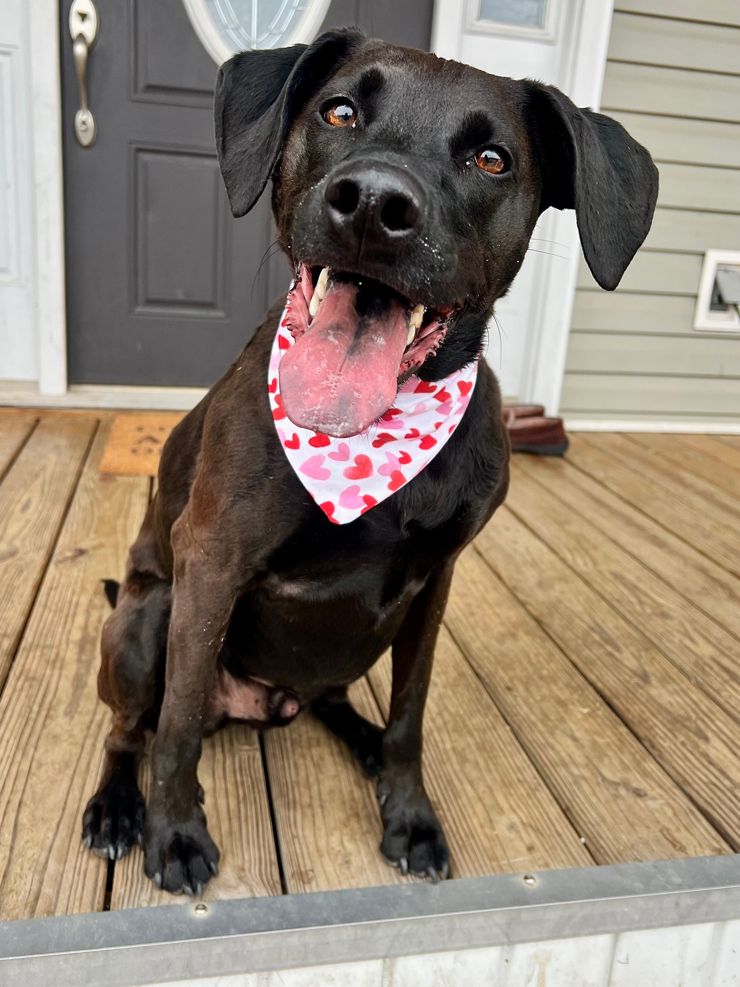 Fetching Hearts