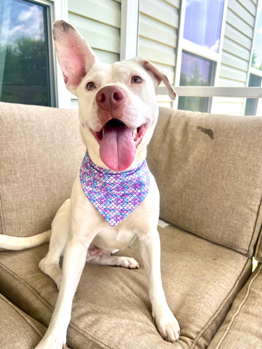 Seaside Sparkle Bandana