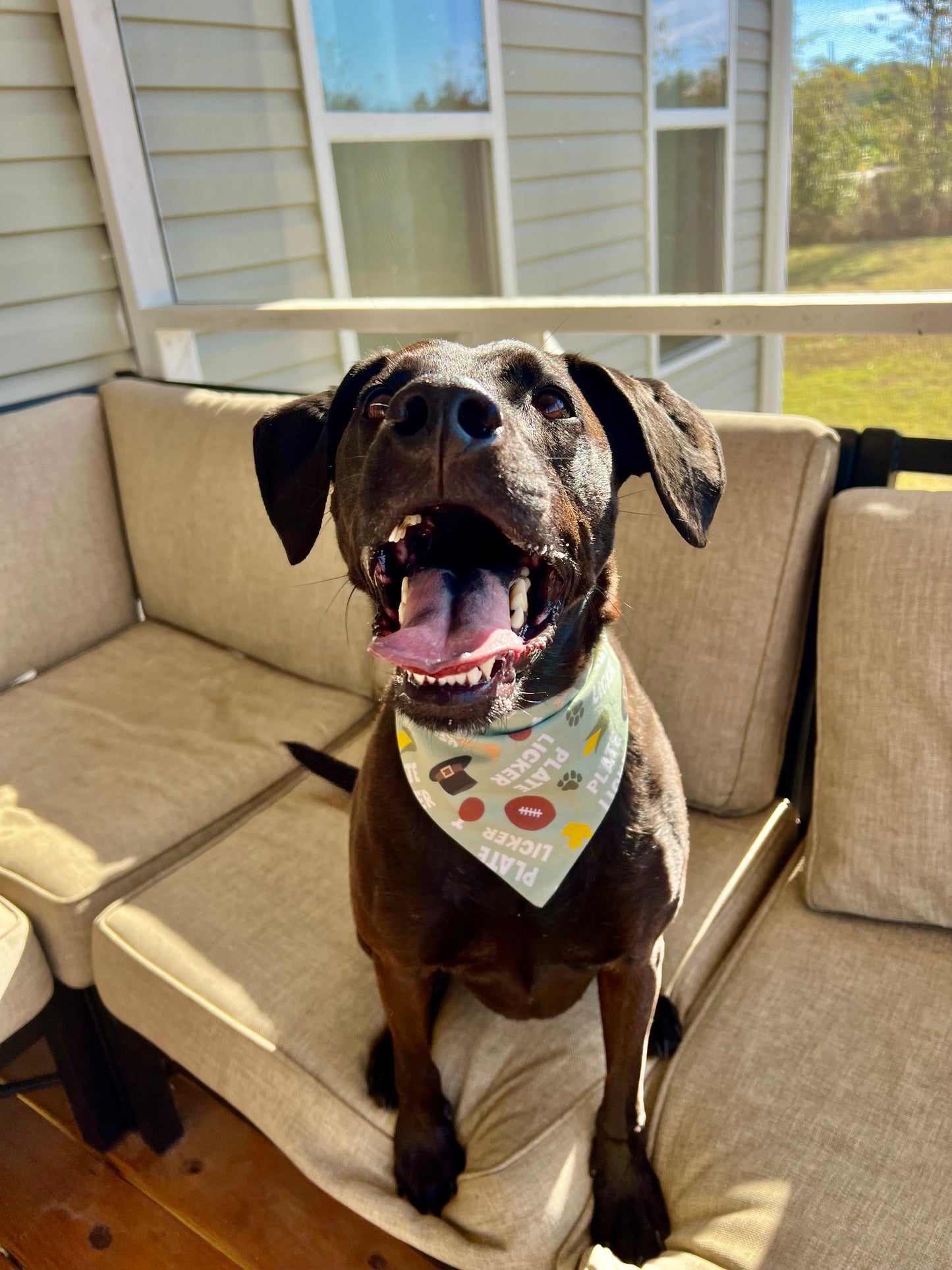 Plate Licker Bandana