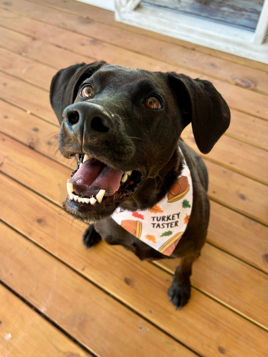 Turkey Taster Bandana