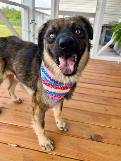Red, White & Woof Bandana