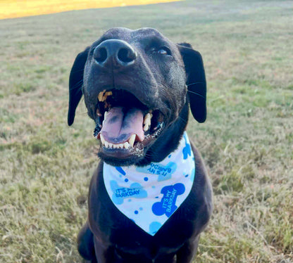 Birthday Boy Bandana