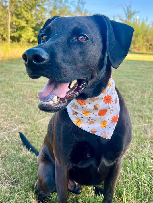 Falling For You Bandana