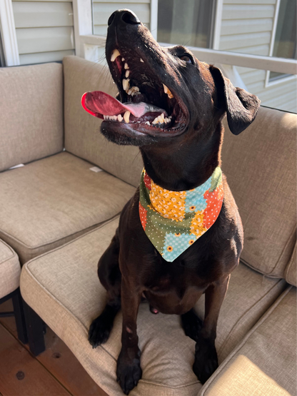 Patchwork Pup