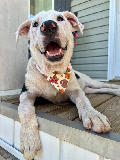 Game Day Pup