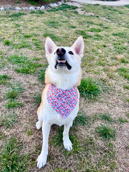 Garden Party Pup