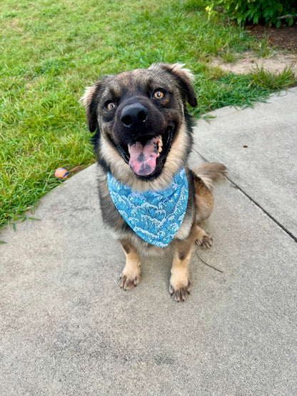 Wave Chaser Bandana