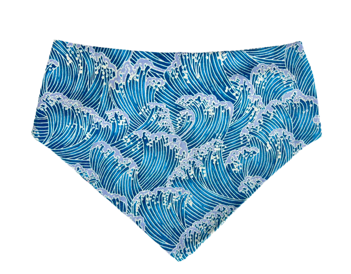 Wave Chaser Bandana