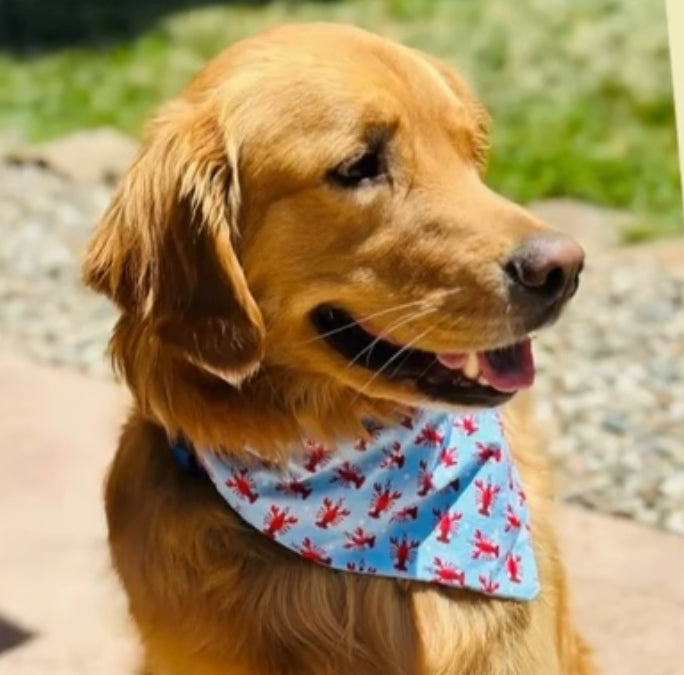 Little Lobster Bandana