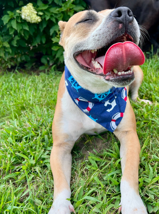 First Mate Bandana