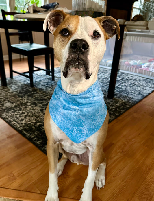 Pool Pawty Bandana
